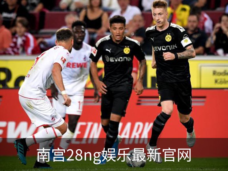 了解南宫28ng娱乐最新官网