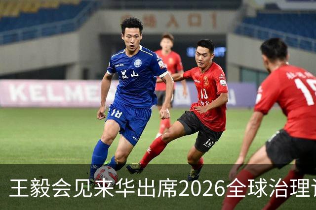 王毅会见来华出席2026全球治理论坛（雄安）的客人